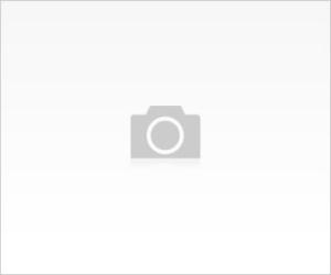 YENİDEN BAŞLIYORUZ